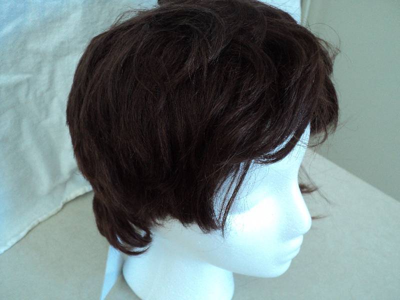 Ashro wig, style Stacey, color brow...