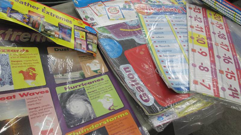 lot 245 image: Extreme Weather Bulletin Boards, Vi...
