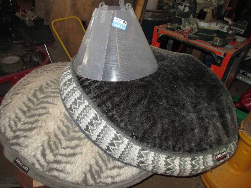 lot 45 image: 2 dog beds by Kirkland and a dog he...