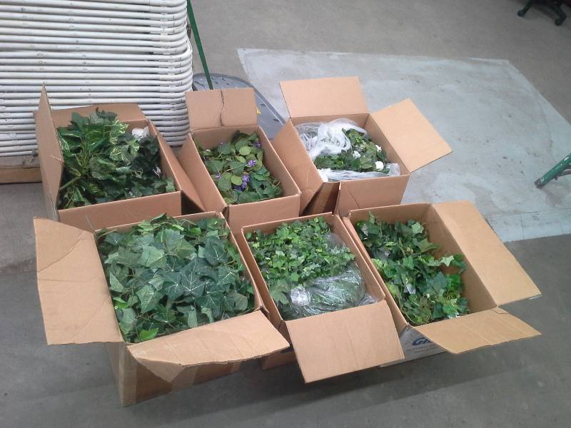 lot 67 image: 6 Boxes of Assorted Greenery