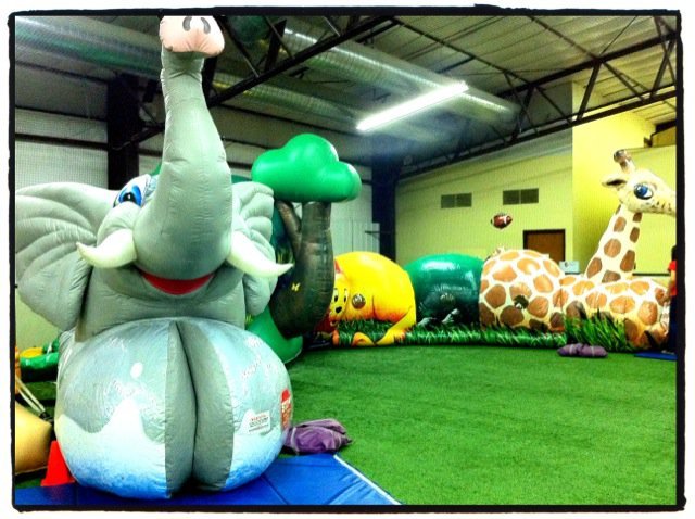 lot 16 image: Jungle Playlite