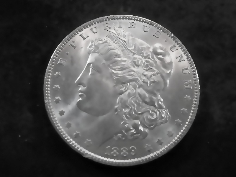 1889 Morgan Silver Dollar