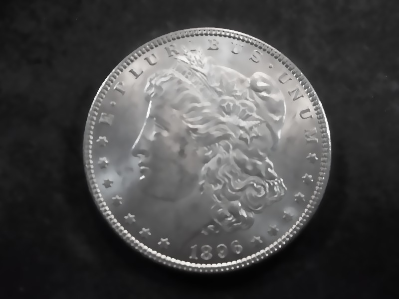 1896 Morgan Silver Dollar