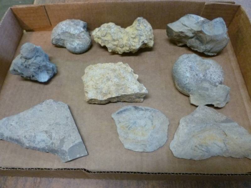 lot 230 image: Collector Rocks