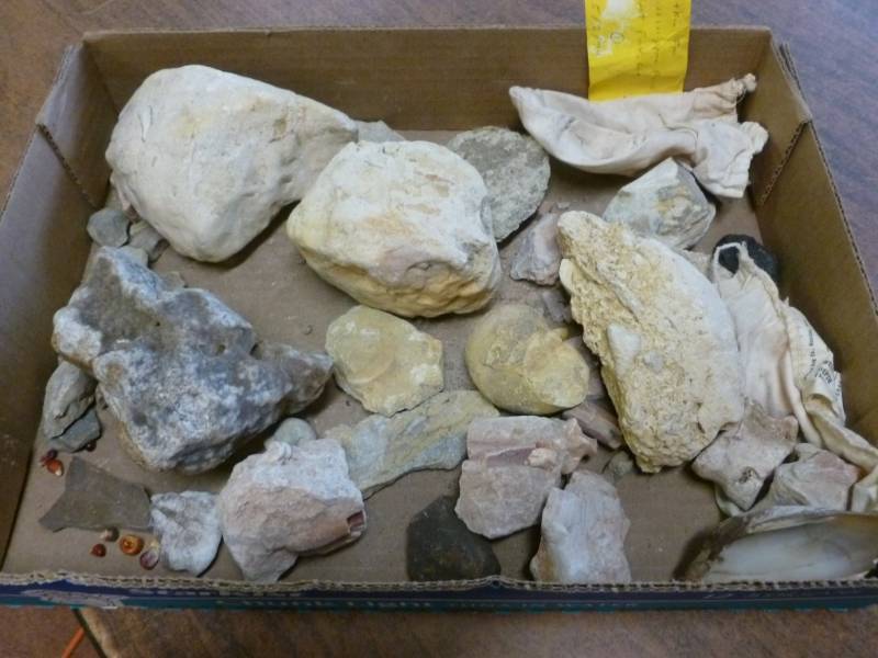 lot 232 image: Collector Rocks