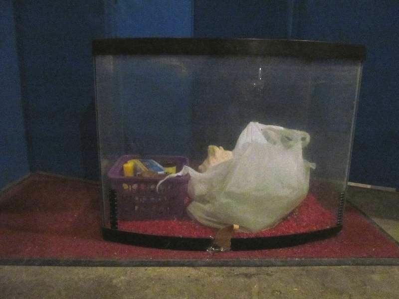 lot 140 image: aquarium, supplies