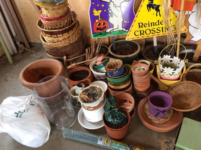 lot 90 image: LARGE GARDEN LOT WITH LOTS AND LOTS OF POTS