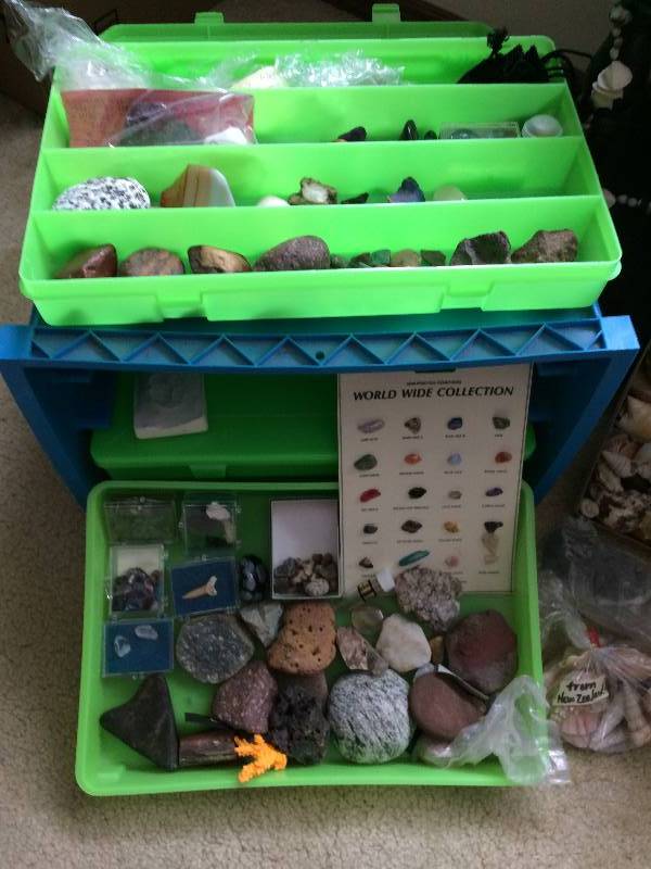 lot 19 image: AMAZING SHELL AND ROCK COLLECTION