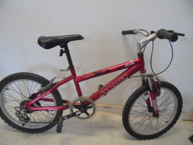 lot 60 image: 20 Girl Bike