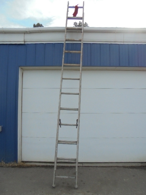 lot 2 image: Aluminum Ladder