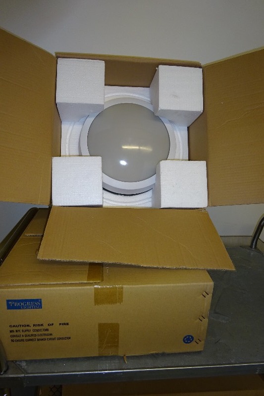 lot 12 image: Lot of 2 Wet Lights