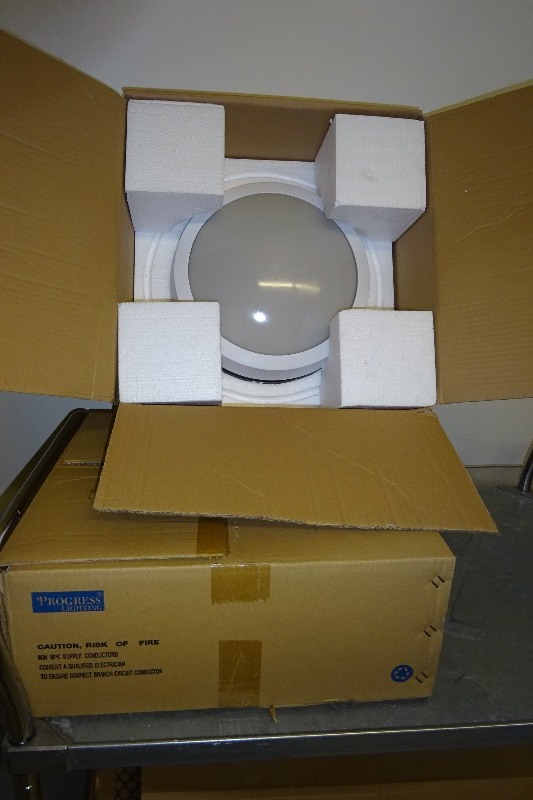 lot 14 image: Lot of 2 Wet Lights