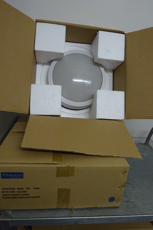 lot 16 image: Lot of 2 Wet Lights
