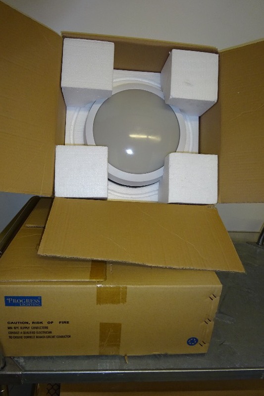 lot 18 image: Lot of 2 Wet Lights