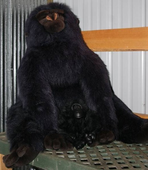 lot 76 image: Large TY Gorilla