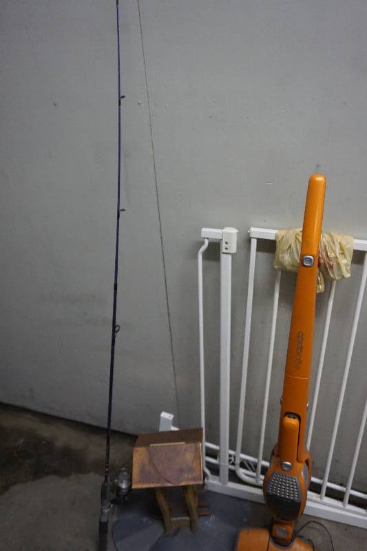 lot 122 image: Sellers Special Child Safety Gate, Electrolux Electric Broom, Fishing Rod With Reel and Birdhouse