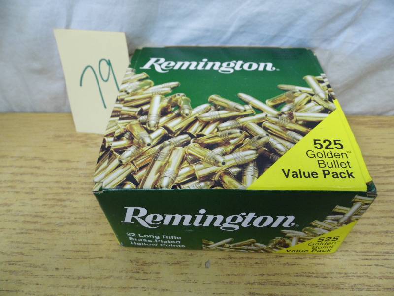 Remmington Ammunition 22 Long Rifle