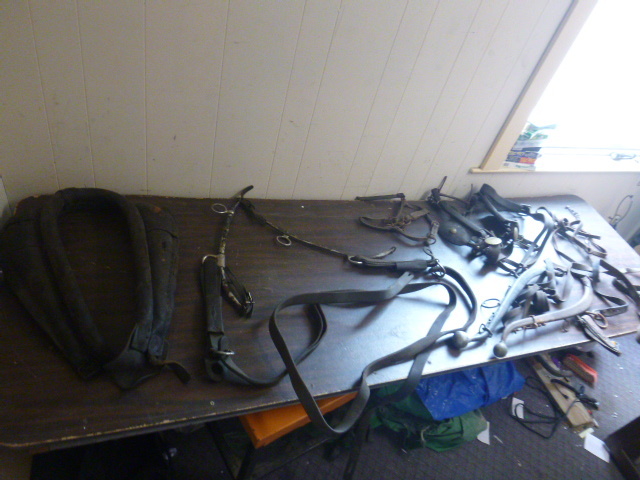 lot 81 image: Horse Items