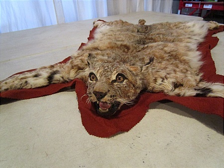lot 19 image: Bobcat Rug