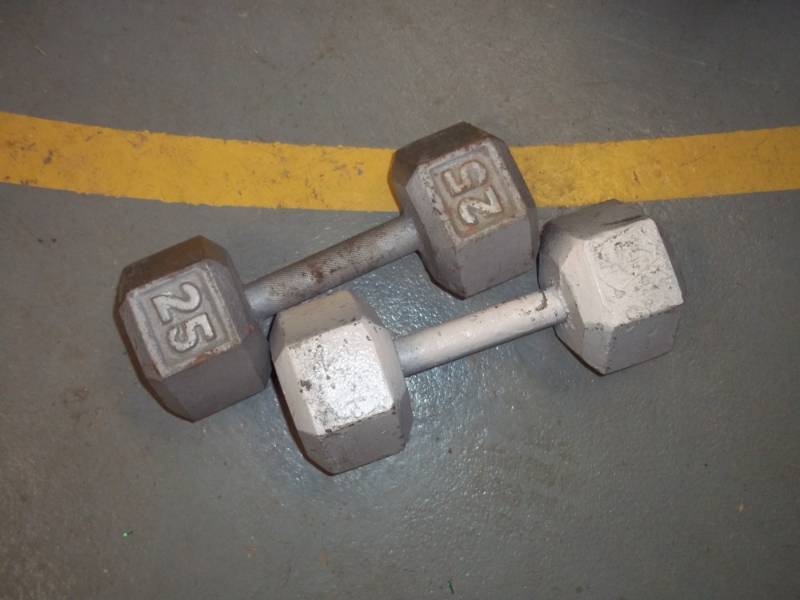 lot 160 image: Pair of 25 Pound Weights