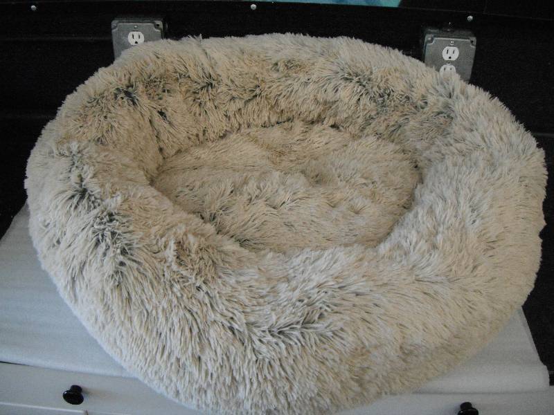 lot 17 image: Pet Bed