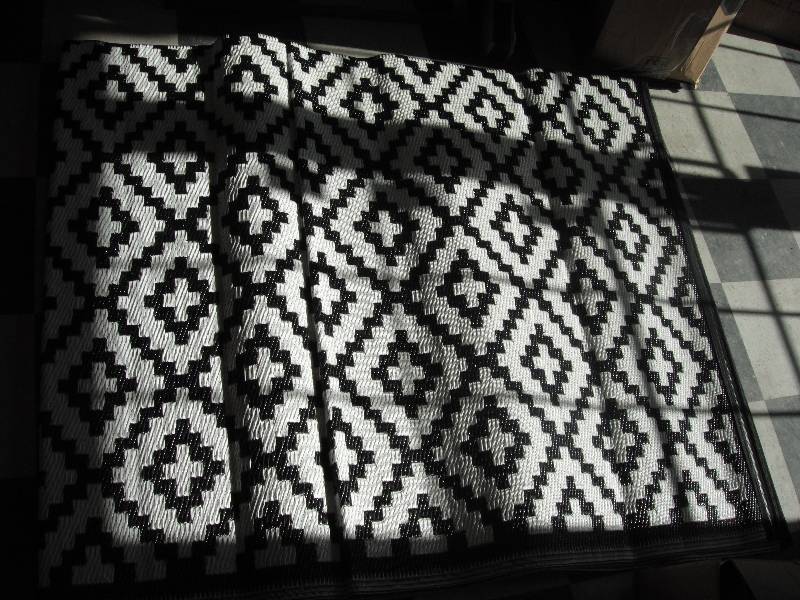 lot 22 image: Patio Rug