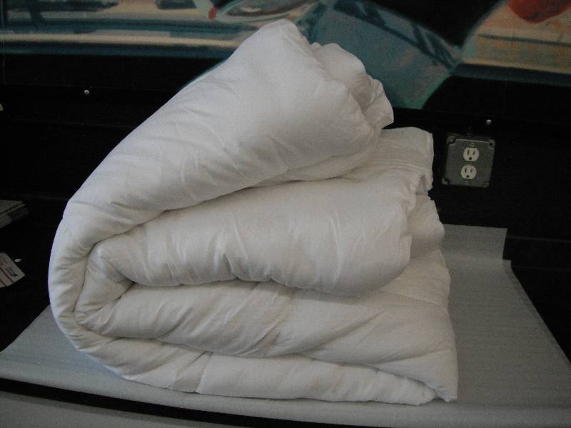 lot 48 image: Queen Comforter
