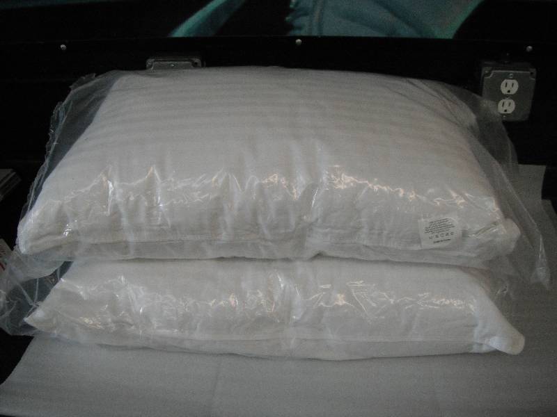 lot 49 image: Gel Pillows