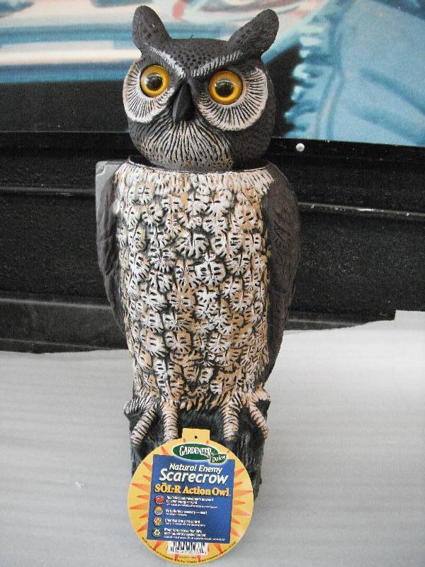 lot 64 image: Solar Action Owl