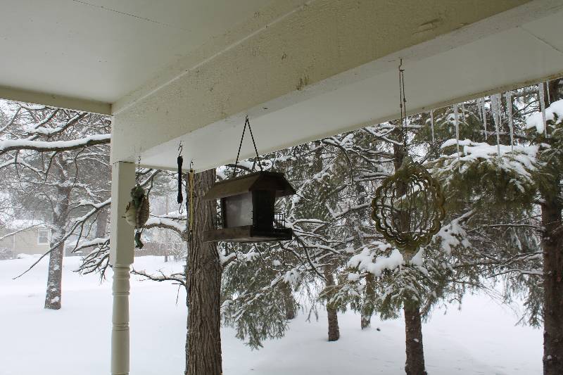lot 222 image: Hanging Yard Dcor - Bird Houses, Bird Feeders
