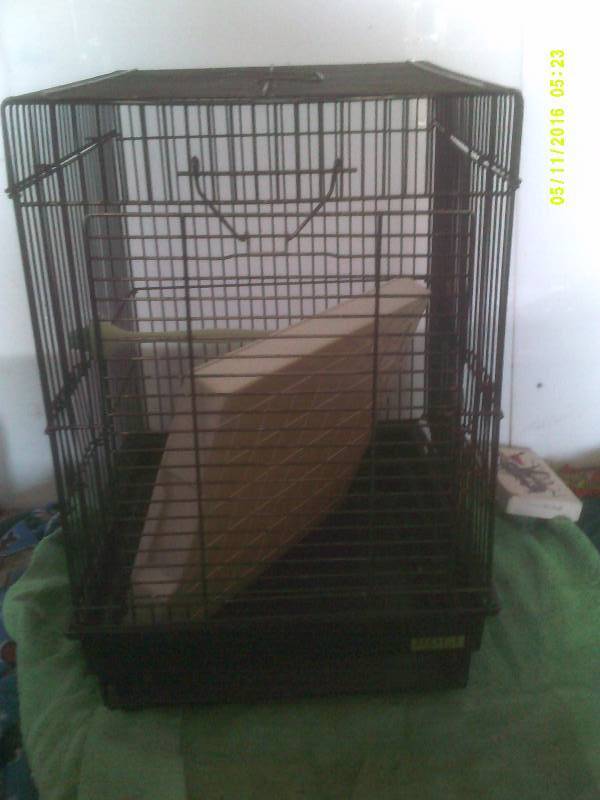 FULL SIZE BIRD CAGE