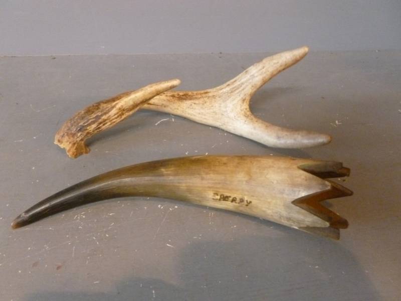Antler Shed