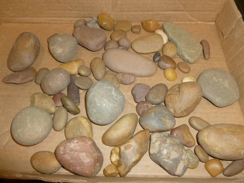 Collector Rocks