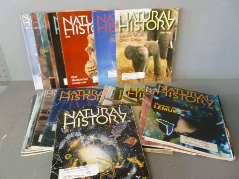 Magazines