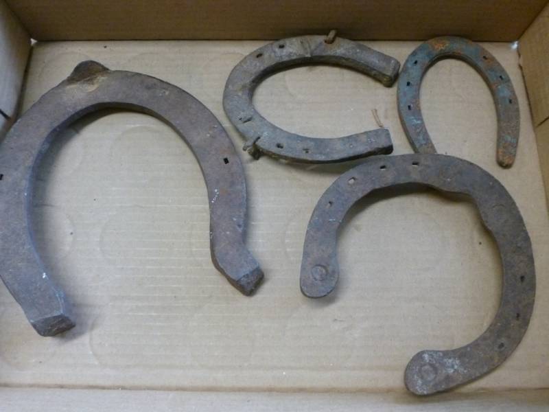 Vintage Horseshoes