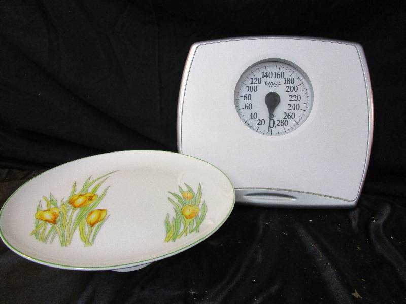 Scale and Pedistal Plate