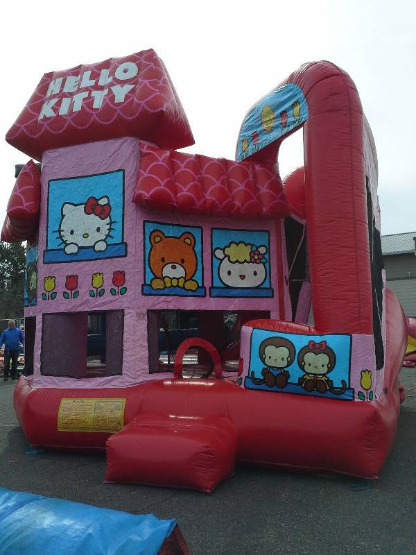 lot 32 image: Hello Kitty 3D 5 in 1 Wet or Dry Combo 20x19x15