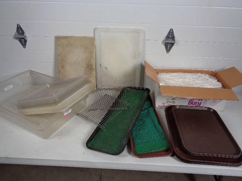 lot 122 image: Cambro, Trays, Cutting Boards, Etc