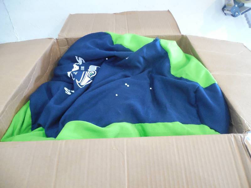 lot 12 image: NFL Beanbag Chair - SEAHAWKS
