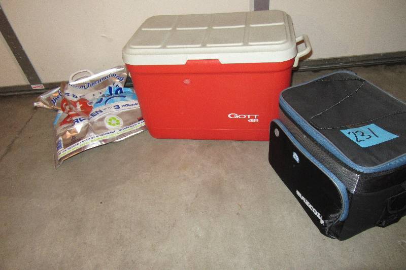 lot 231 image: 2 coolers as shown and Ice bag.