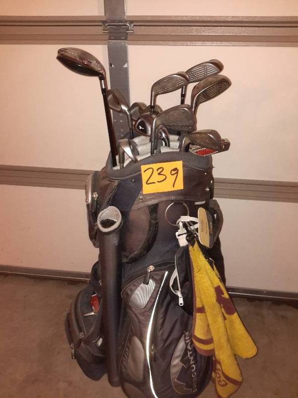 lot 239 image: Starter Set of golf clubs as shown.. King CobraCleveland