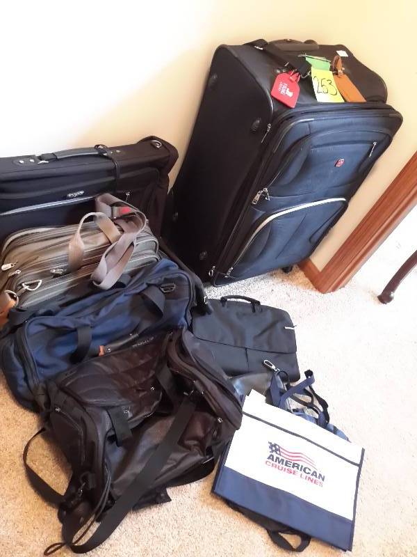 lot 253 image: Lot of misc travel cases