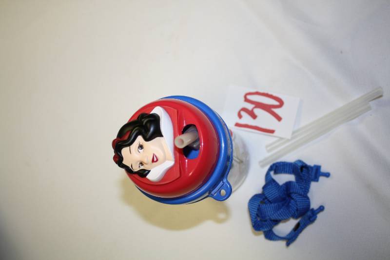 lot 130 image: Snow White Water Bottle