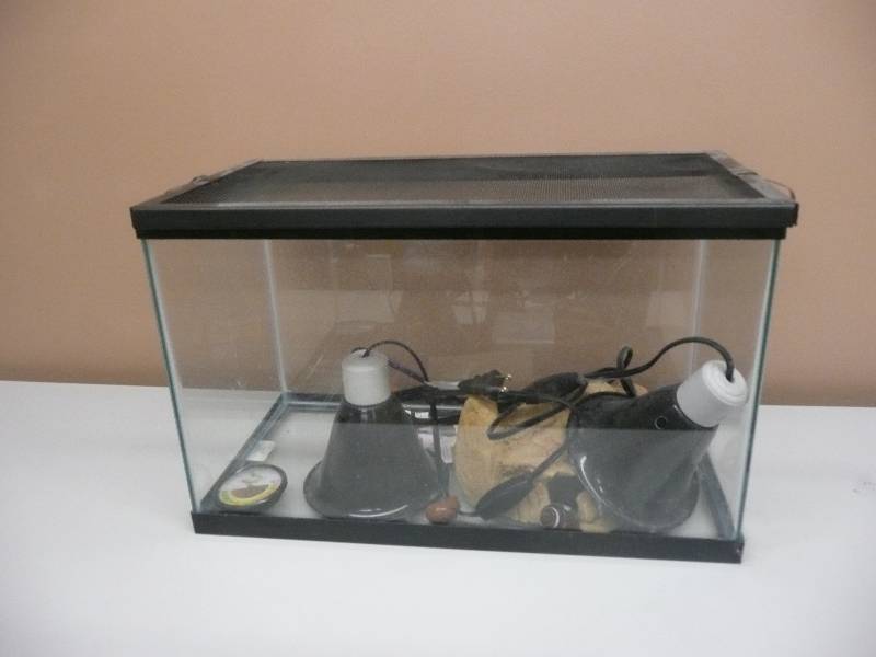 lot 20 image: TERRARIUM WITH HEAT LAMPS & ACCESSORIES - SEE PICTURES