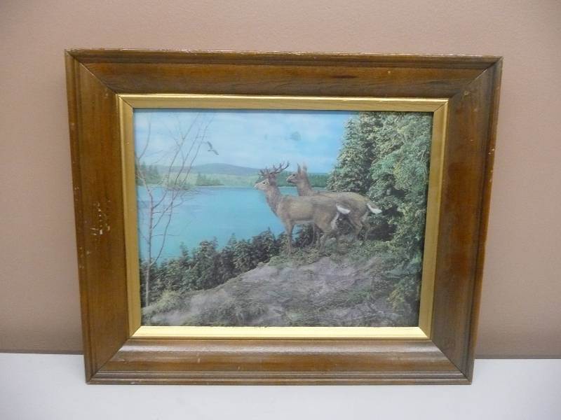 lot 32 image: 1960s JAPAN FrameD 3D Lenticular Holographic Deer In Forest Picture Image - VERY COOL PIECE - APPROX 17 BY 14 - SEE PICTURES