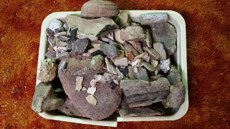lot 51 image: Group of Various Rocks, Minerals, andor Bones