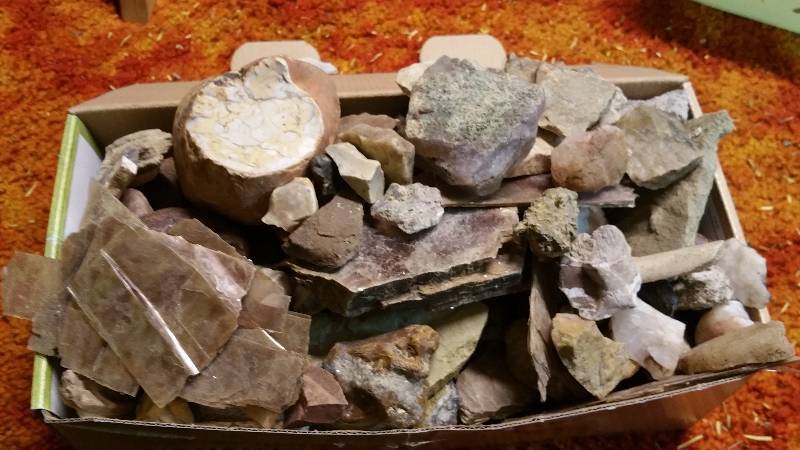 lot 52 image: Group of Various Rocks, Minerals, Petrified Wood, andor Bones