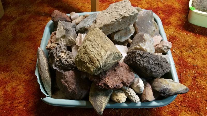 lot 54 image: Group of Various Rocks, Minerals, Petrified Wood, andor Bones