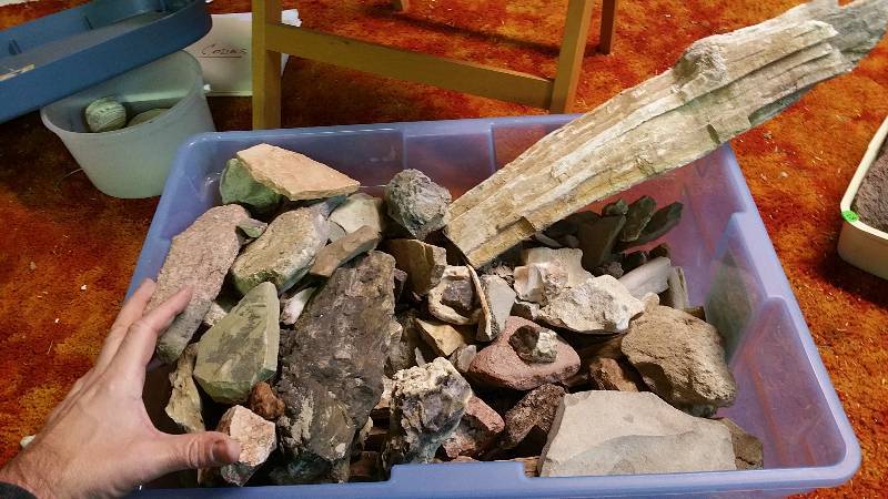 lot 55 image: Group of Various Rocks, Minerals, Petrified Wood, andor Bones