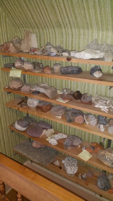 lot 58A image: Group of Various Rocks, Minerals, Petrified Wood, andor Bones